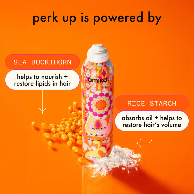 Amika Perk Up Dry Shampoo (Mini)