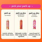 Amika Perk Up Dry Shampoo (Mini)