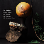 SIDIA Wax Candle (Soaked)